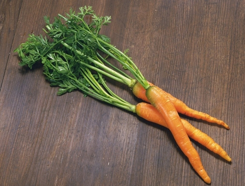 <a href=/shicai/shucai/HuLuoBo/index.html target=_blank><u>胡<a href=/shicai/shucai/LuoBo/index.html target=_blank><u>萝卜</u></a></u></a>怎样吃最有营养 巧妙搭配保健康