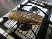 养生食谱大放送