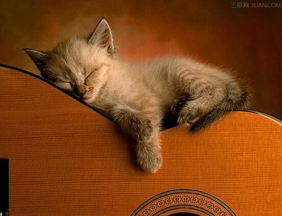 夏季午睡有哪些注意事项    