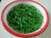 养生食谱大放送