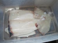 养生食谱大放送