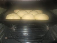 养生食谱大放送