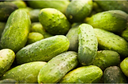 <a href=/shicai/shucai/HuangGua/index.html target=_blank><u>黄瓜</u></a>有什么功效与作用