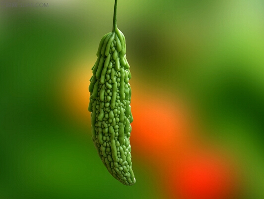 夏季清热解暑的食物