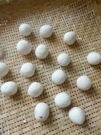 养生食谱大放送