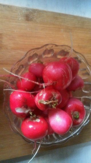 凉拌糖<a href=/shicai/diaoweipin/Cu/index.html target=_blank><u>醋</u></a>小<a href=/shicai/shucai/LuoBo/index.html target=_blank><u>萝卜</u></a>