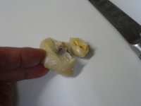 养生食谱大放送