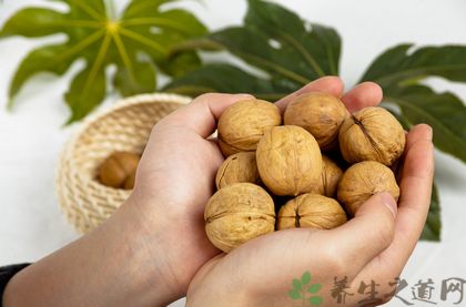 肾阳虚吃什么食物 肾阳虚吃什么食物