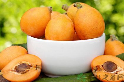 肺不好吃什么水果