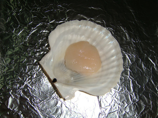 蒜香<a href=/shicai/shuichanpin/ShanBei/index.html target=_blank><u>扇贝</u></a>