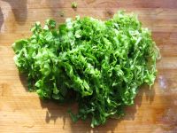 养生食谱大放送