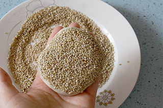 【椒盐<a href=/shicai/guopin/ZhiMa/index.html target=_blank><u>芝麻</u></a>饼】