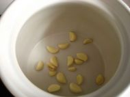 养生食谱大放送