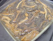 养生食谱大放送