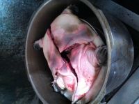 养生食谱大放送