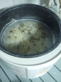 养生食谱大放送