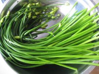 养生食谱大放送