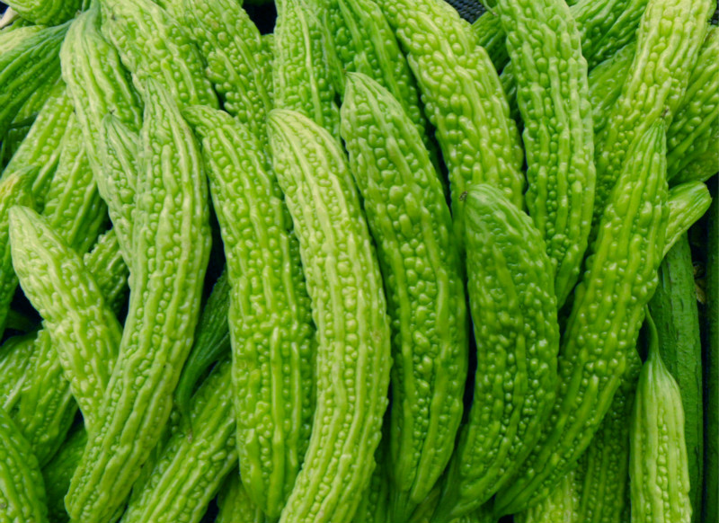 <a href=/shicai/shucai/KuGua/index.html target=_blank><u>苦瓜</u></a>3