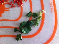 养生食谱大放送