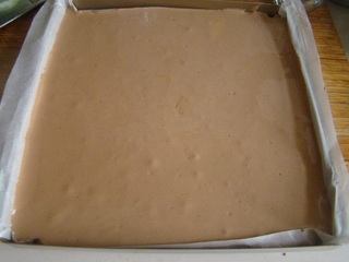 <a href=/shicai/mimian/QiaoKeLi/index.html target=_blank><u>巧克力</u></a>慕斯盆栽蛋糕