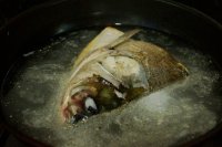 养生食谱大放送