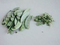 养生食谱大放送