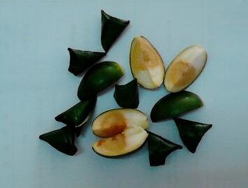 逃犯吃槟榔吃成樱<a href=/shicai/guopin/Tao/index.html target=_blank><u>桃</u></a>小嘴 ”易容“逃亡13年被抓获 吃槟榔有什么坏处?