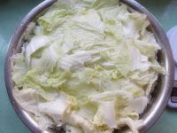 养生食谱大放送