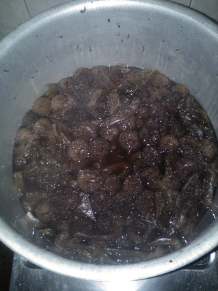 <a href=/shicai/guopin/YangMei/index.html target=_blank><u>杨梅</u></a>熬<a href=/shicai/shucai/KuGua/index.html target=_blank><u>苦瓜</u></a>