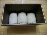 养生食谱大放送