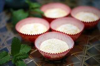 <a href=/shicai/guopin/MangGuo/index.html target=_blank><u>芒果</u></a><a href=/shicai/mimian/NuoMi/index.html target=_blank><u>糯米</u></a>滋