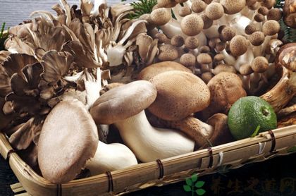 卵巢手术后吃什么好 卵巢手术后吃什么好