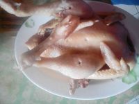 养生食谱大放送