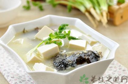 手术后能吃鱼吗