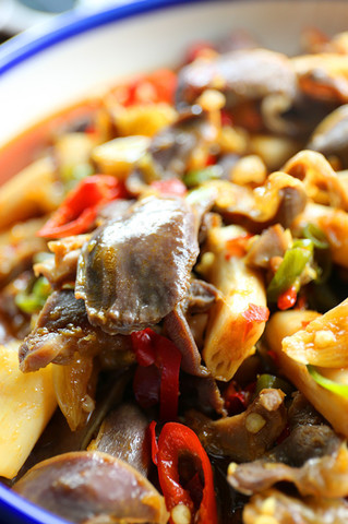 泡椒<a href=/shicai/shucai/Ou/index.html target=_blank><u>藕</u></a>带炒<a href=/shicai/rouqin/JiZhen/index.html target=_blank><u>鸡胗</u></a>