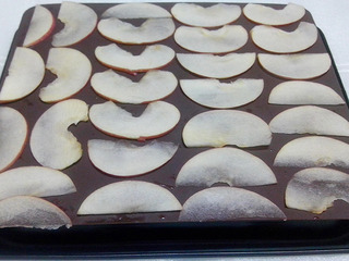 <a href=/shicai/guopin/PingGuo/index.html target=_blank><u>苹果</u></a>脆片