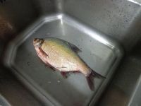 养生食谱大放送