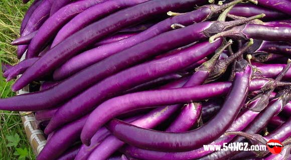 孕妇能吃<a href=/shicai/shucai/QieZi/index.html target=_blank><u>茄子</u></a>吗1