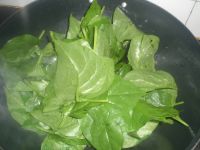 养生食谱大放送