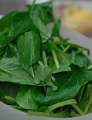 养生食谱大放送