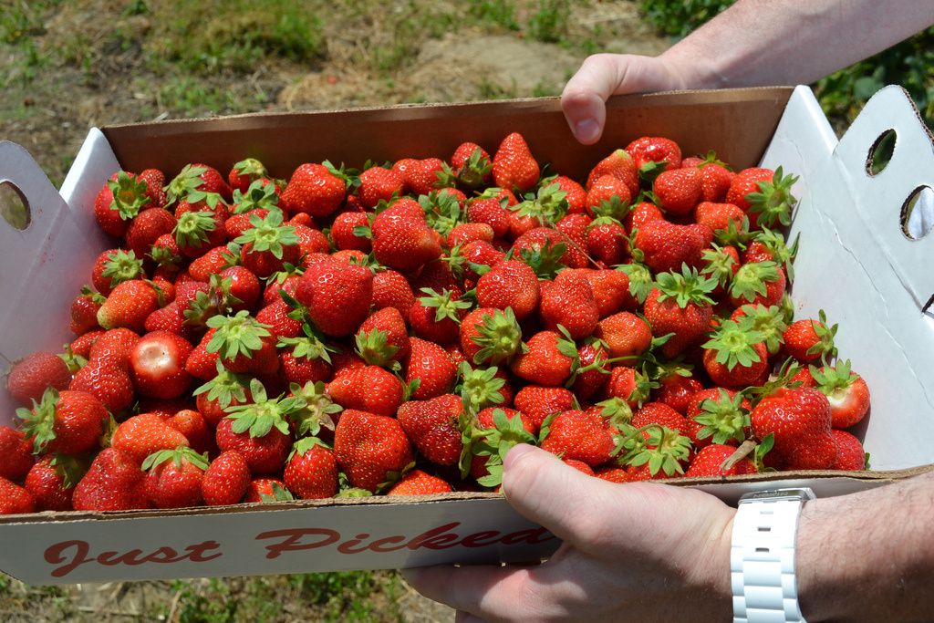 死前一定要尝的25种食物,让人不得不吞口水(组图)| jiaren.org