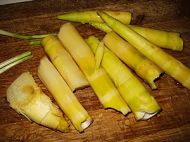 养生食谱大放送