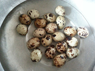 <a href=/shicai/shucai/YinEr/index.html target=_blank><u>银耳</u></a><a href=/shicai/rouqin/AnChunDan/index.html target=_blank><u><a href=/shicai/rouqin/AnChun/index.html target=_blank><u>鹌鹑</u></a>蛋</u></a>