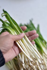 养生食谱大放送