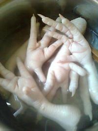 养生食谱大放送