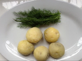 <a href=/shicai/shucai/HuiXiang/index.html target=_blank><u>茴香</u></a>老奶洋芋步骤2