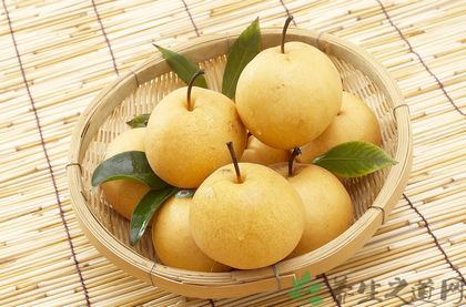 <a href=/shicai/guopin/Li/index.html target=_blank><u>梨</u></a>怎么吃润肺