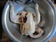 养生食谱大放送