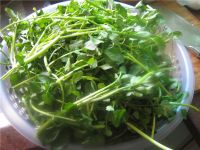 养生食谱大放送