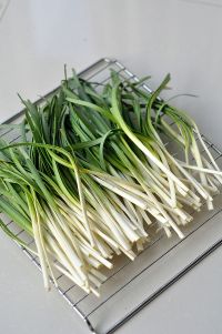 养生食谱大放送